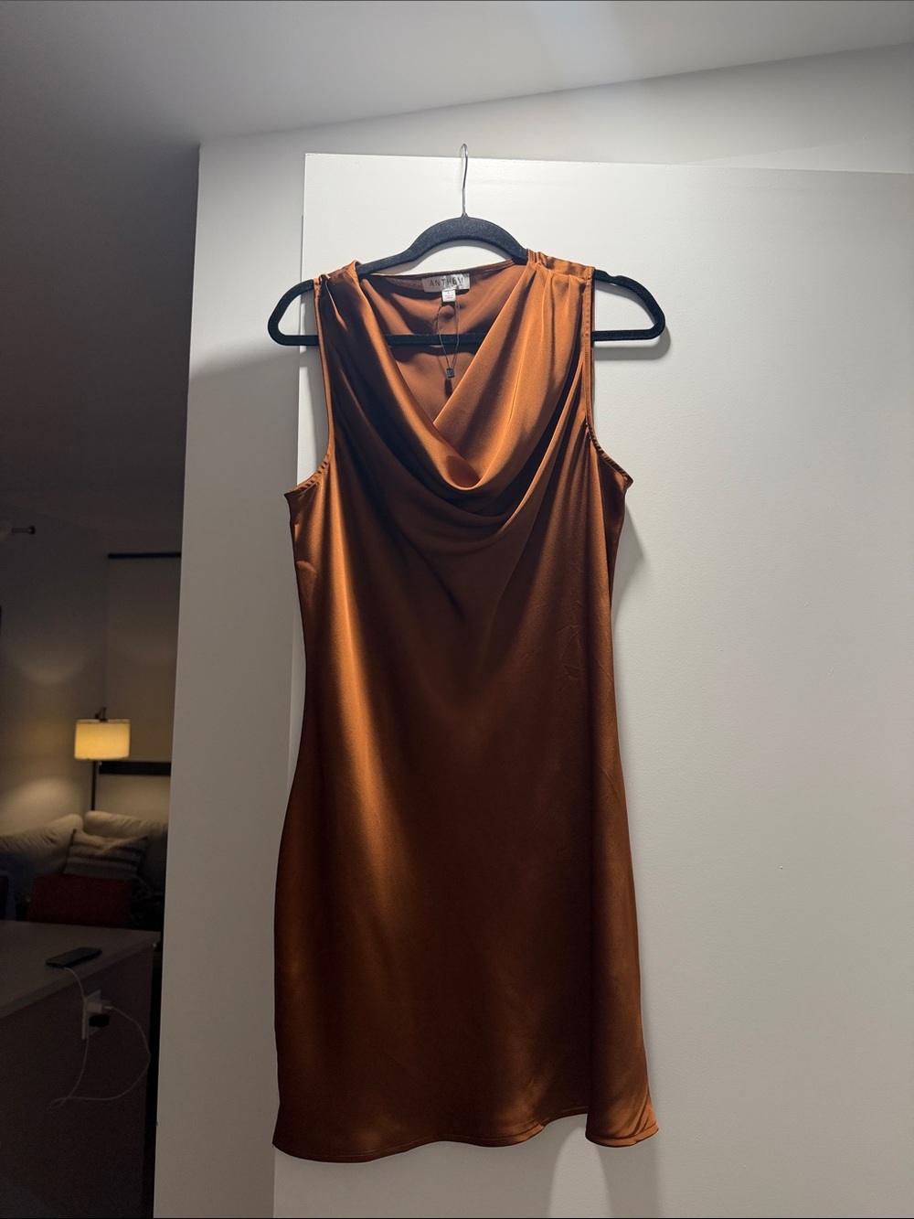 Anthem the Label Satin Cowl Neck Sleeveless Dress - Brown